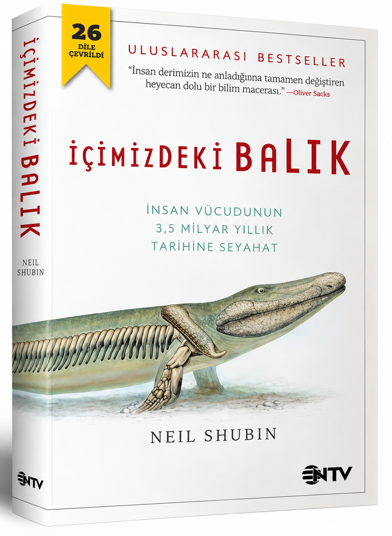 Neil SHUBİN: İçimizdeki Balık