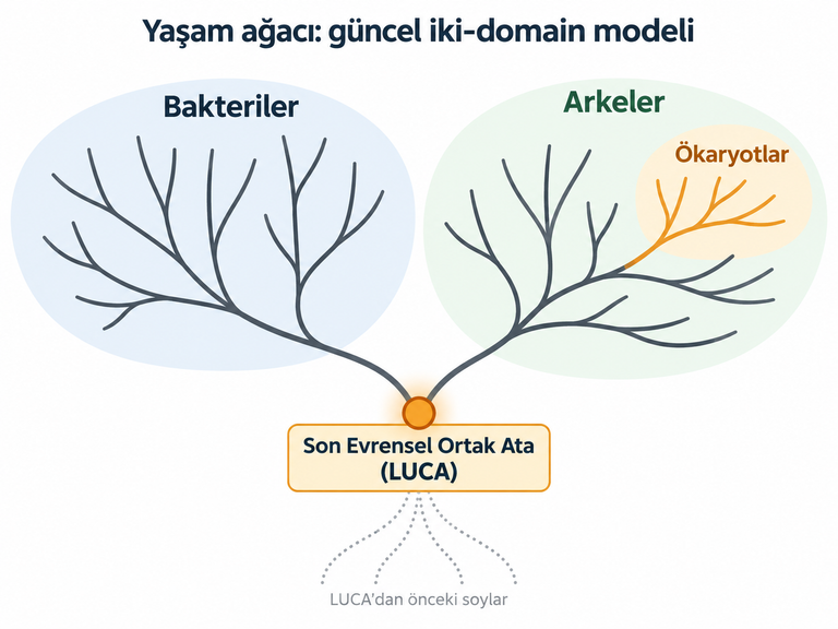 Gezegenimizdeki Yaşamın Tarihçesi (1. bölüm)