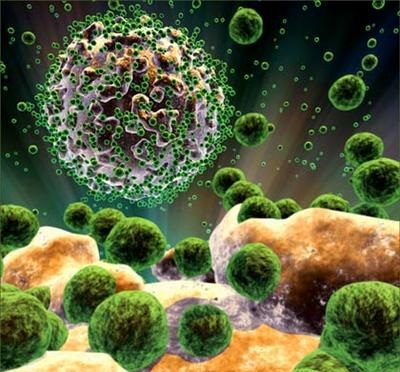 HIV virüsü ve evrim