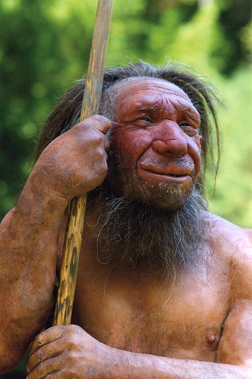 Dini Keşfetmek 10. Bölüm Neandertal