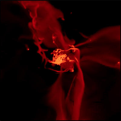 Big Bang teorisi için bir kanıt daha