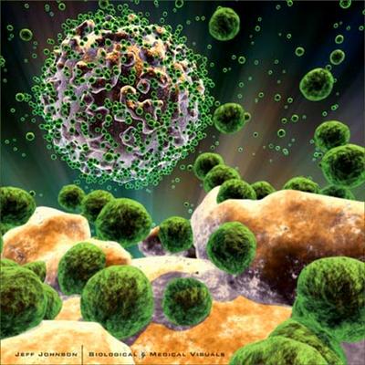 HIV virüsü ve evrim